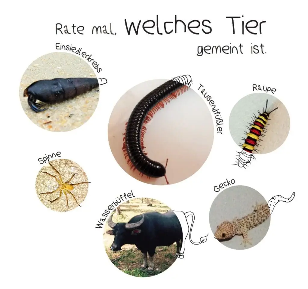Tierrätsel