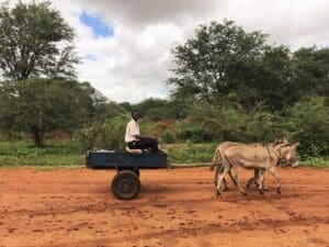 Südafrika Zimbabwe