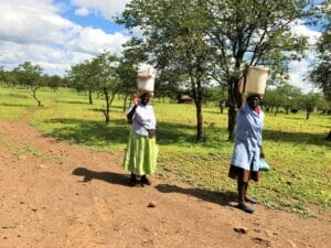 Südafrika Zimbabwe