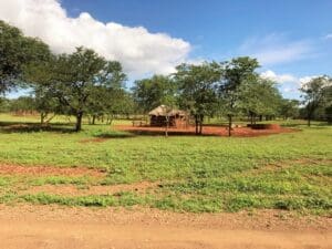 Südafrika Zimbabwe