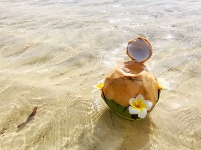 Tiwi Beach