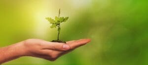 Travel_Plant_1