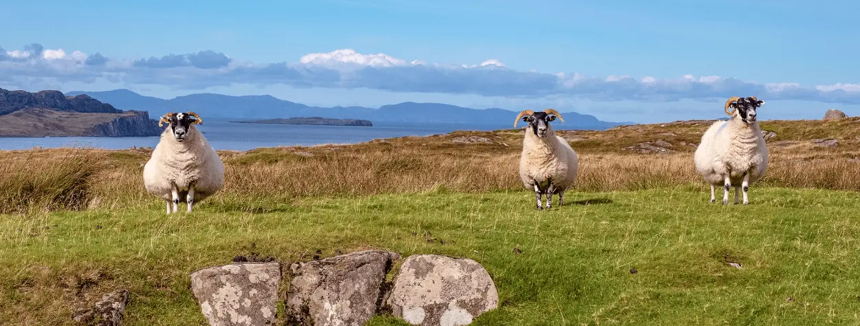 Schottland Schottland