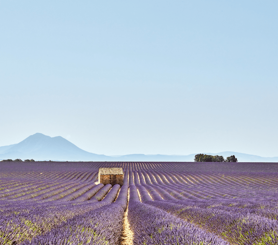 World for kids World for kids