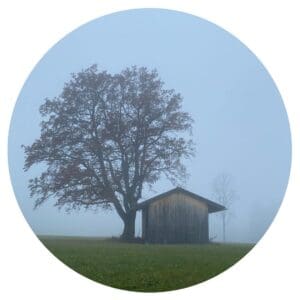 Herbst