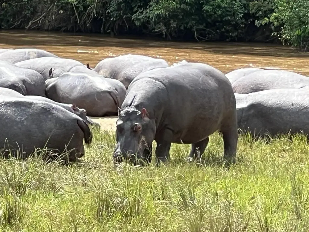 Uganda