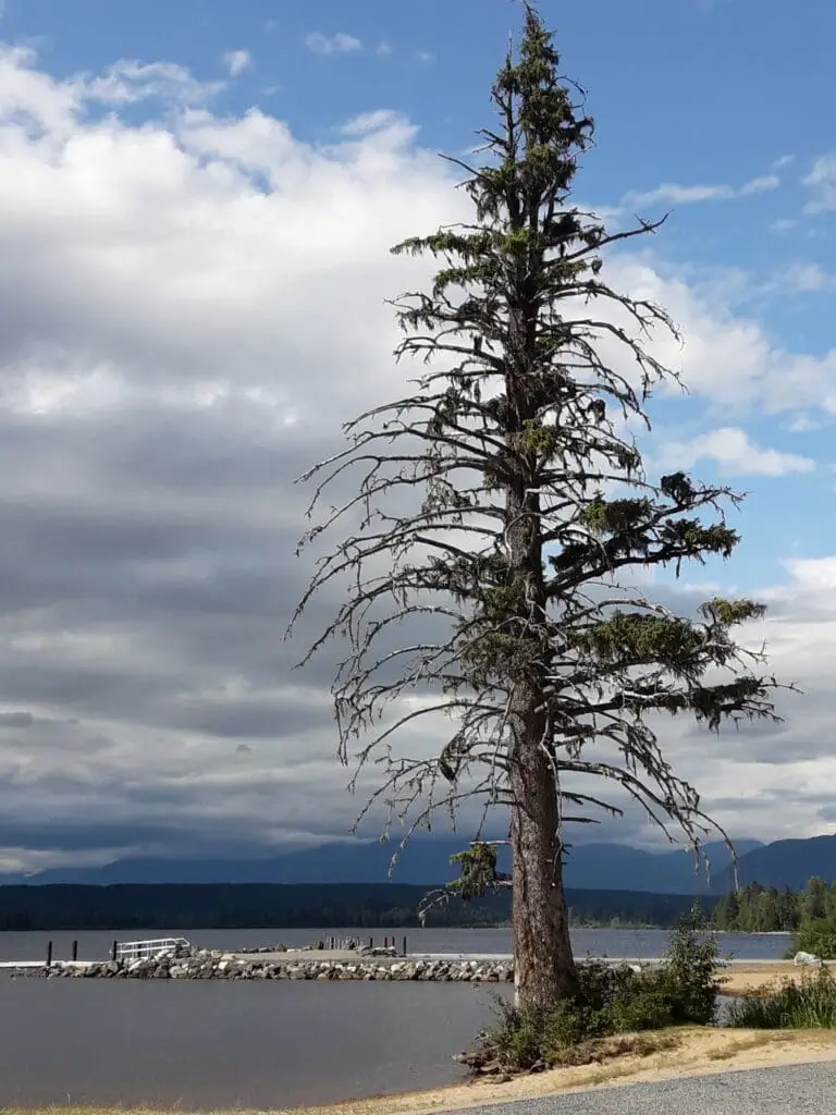 Kanada Camping