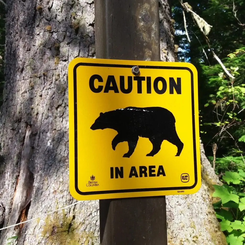 Bär Bär