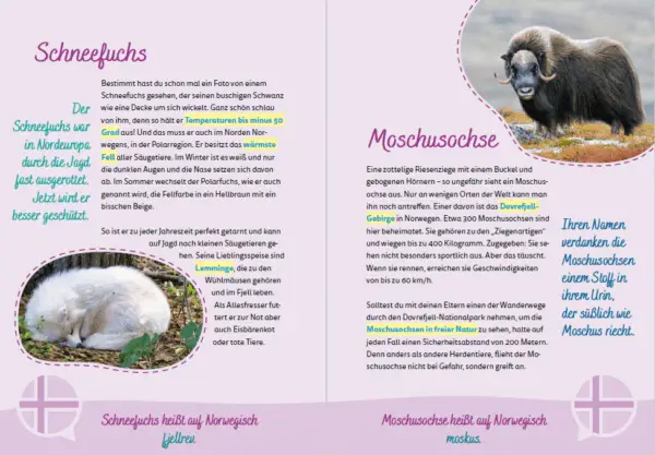 Norwegen for kids