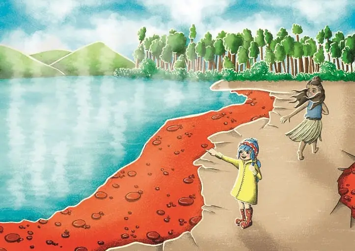 Neuseeland for kids